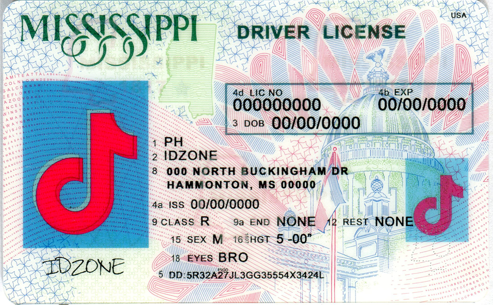 MISSISSIPPI-New Scannable fake id
