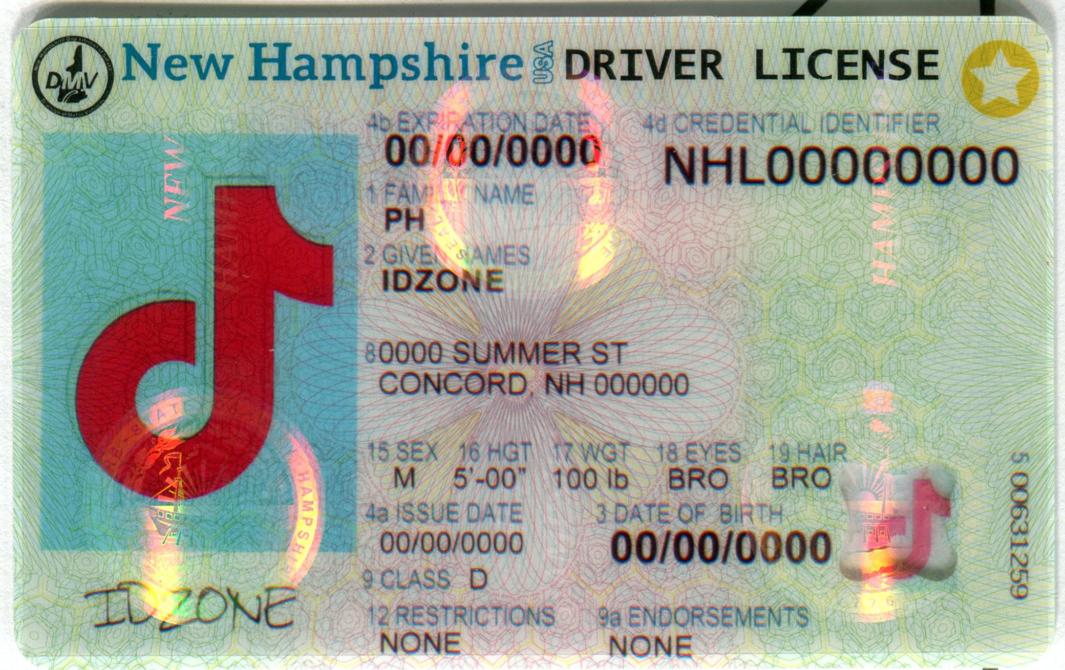 NEW HAMPSHIRE Scannable fake id