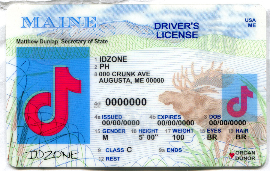 MAINE-Old buy fake id