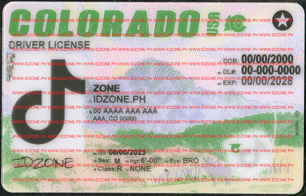 FAKE IDS CO